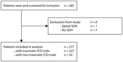 Classification of subdural hematomas: proposal for a new system improving the ICD Coding Tools